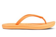 ����2013�¿�138235