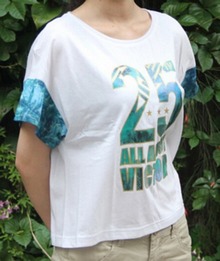 پW(wng)ATSK074-1