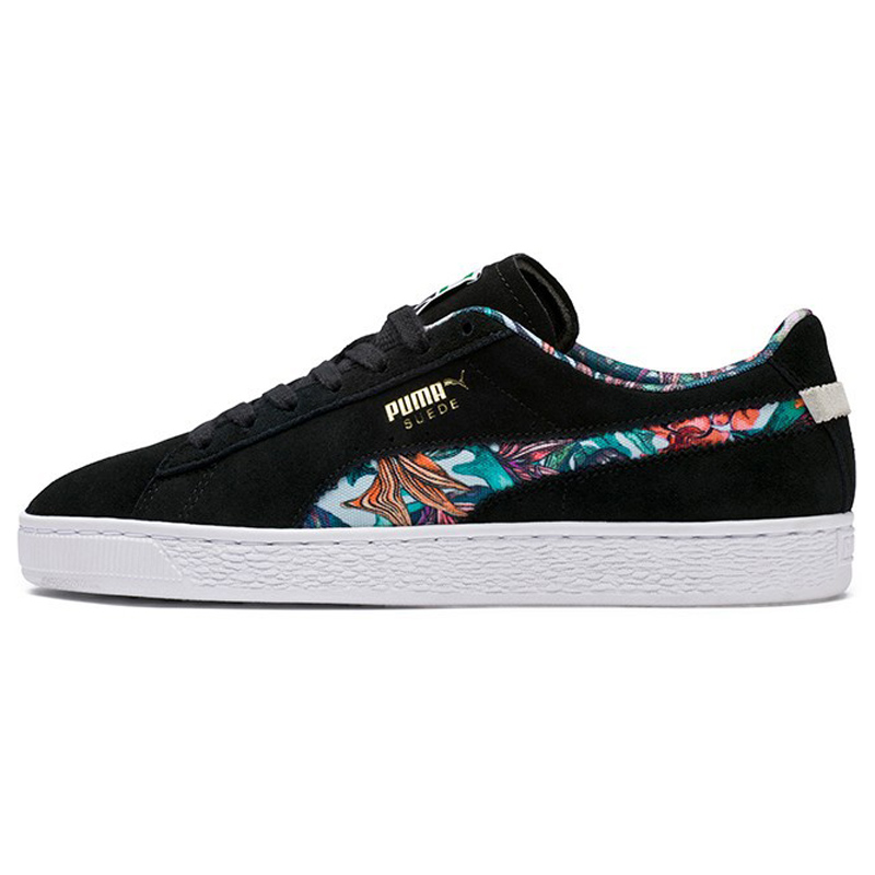 ���� 36923801